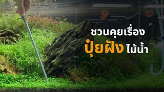 UREKA AQUARIUM EP.28 ชวนคุยเรื่องปุ๋ยฝังไม้น้ำ