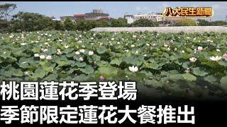 桃園蓮花季登場 季節限定蓮花大餐推出 |【民生八方事】| 2024070304 @gtvnews27