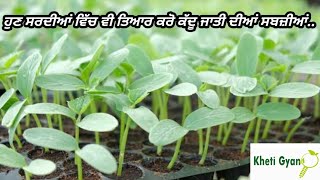 Cucurbits early cultivation, कद्दू जाति की सब्जीओ की खेती, ਕੱਦੂ ਜਾਤੀ ਦੀਆਂ ਸਬਜ਼ੀਆਂ ਦੀ ਅਗੇਤੀ ਖੇਤੀ