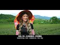 utee jia fang organic tea garden 佳芳有機茶園