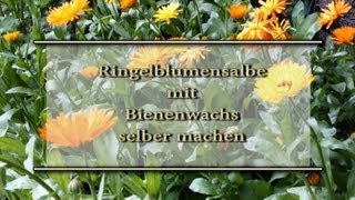 Ringelblumensalbe mit Bienenwachs selber machen