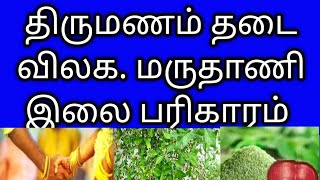 திருமணம் தடை விலக மருதாணி இலை தீபம் வழிபாடு #trending #subscribe #like #tamil #youtube #chain #money