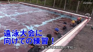 現和小学校遠泳大会に向けての練習に励む！～種子島の学校活動