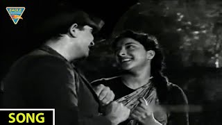 Pyar Hua Iqrar Hua Video Song || Shree 420 Hindi Movie || Raj Kapoor || Eagle Classic Songs