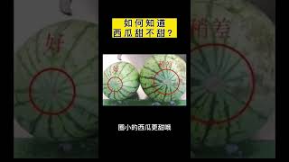 如何挑一个甜西瓜？来看一看 ＃生活百科 ＃科普 ＃小技巧