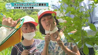 2023年5月17日Nトピ＋プラスNEWS