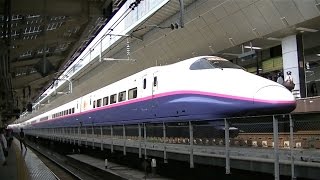 JR東北・上越新幹線E2系J69編成 東京駅20番線入線