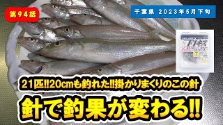 【千葉県】好釣果シロギス21匹!!大型キス20cmも釣れた!!アベレージは15cm～17cm!!やっぱりこの針は凄かった!!実際掛かりまくりでした。『キス/メゴチ/ちょい投げ釣り/房総/F1キス』