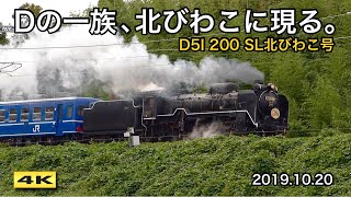 D51 200 SL北びわこ号 !!! デゴイチ、7ヶ月ぶり湖北路へ 2019.10.20【4K】