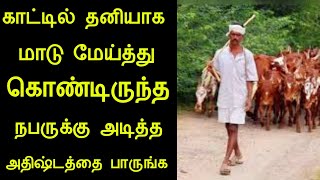 காட்டில் தனியாக மாடு மேய்த்து கொண்டிருந்த நபருக்கு அடித்த அதிஷ்டத்தை பாருங்க மிரண்டுபோய்டுவீங்க|panc