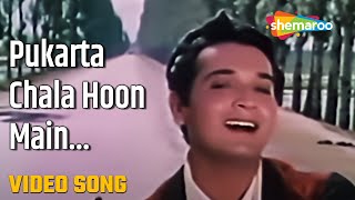 Pukarta Chala Hoon Main - HD Video | Mere Sanam (1965) | Mohd.Rafi | Asha Parekh, Biswajit