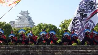 35 夢笑舞 ひめじ良さ恋祭り2017 城見台公園　寄り