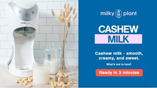 How To Make Cashew Milk At Home - Cashew Milk Recipe Milky Plant