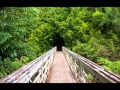 Pipiwai Trail Hike w/Waimoku Falls Maui Hawaii