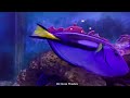 Aquarium 4K (ULTRA HD) - The Peculiar World Of Marine Reptiles And Coral Reefs With Calming Music