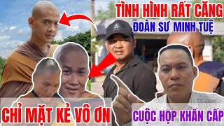 Lang Thang Sài Gòn. đang phát trực tiếp!