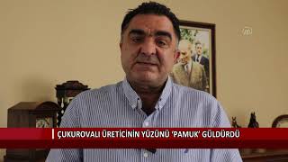 Çukurovalı üreticinin yüzünü ‘pamuk’ güldürdü