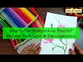 How to Use Watercolour Pencils | Tips for Beginners | Faber Castell Watercolour Pencil Review & Demo