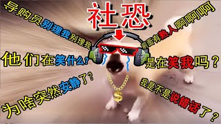 【萌新瞎配】当“社恐人”唱起了rap