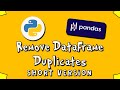 Pandas Remove DataFrame Duplicates - SV - #5