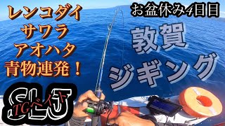 8月13日福井県青物、サワラ釣り