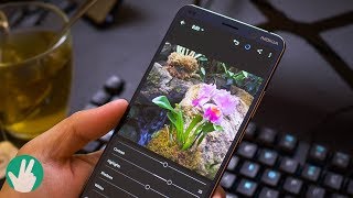 Nokia 9 Pureview Real World Camera Test (with Lightroom workflow)