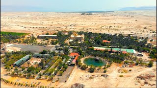 Oasis in the Judean Desert in Israel