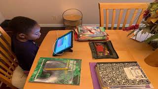Virtual Learning Option