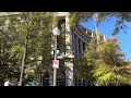 A Washington DC street, free stock footage