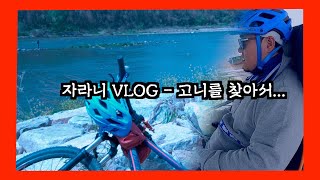 자라니 VLOG - 01.고니를 찾아서 (구례에서 남원까지 섬진강 자전거길)