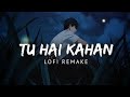 Uraan - TU HAI KAHAN Lofi Song REACTION