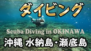 ★ ダイビング 沖縄 水納島＆瀬底島 ★ Scuba-diving in OKINAWAN islands ★