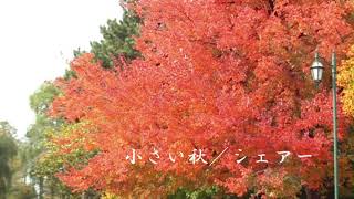 #紅葉 そうだ、紅葉を見にいこう