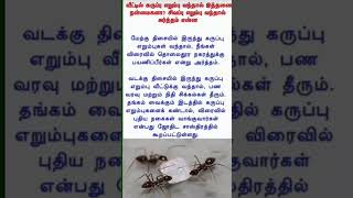 வீட்டில் கருப்பு எறும்பு வந்தால் இத்தனை நன்மைகளா? #ytshortsviral #shortsfeed#trendingshorts