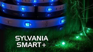 SYLVANIA SMART+ Lighting Review - A19 Color-Changing Bulb, Flex Lightstrip and Gardenspots