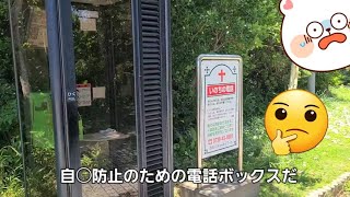 南紀白浜の三段壁の自◯防止電話BOXにはあるワナが…【いのちの電話】