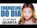 EVANGELHO DO DIA 11 DEZEMBRO DE 2024 Mateus 11,28 30