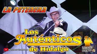 Los Auténticos de Hidalgo - La petenera