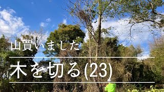 山開拓　木を切る(23)