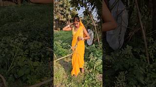 प्रिया भाभी गाना तोड़ रही है#shortsvideo #shorts