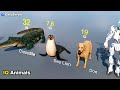 Animal Intelligence  Comparison | IQ