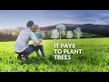 it pays to plant trees