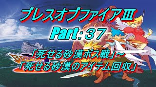 【実況】 ブレスオブファイア3 Part３７「死せる砂漠ボス戦」～「死せる砂漠のアイテム回収」