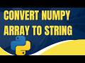 Convert NumPy Array to String (Step-by-Step)