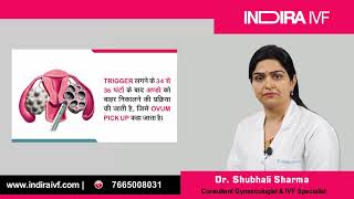 क्या होता है IVF Treatment | Test Tube Baby Process | Dr Shubhali Sharma | Indira IVF