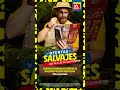 ofertas salvajes folleto lidl del 16 al 22 de septiembre shorts