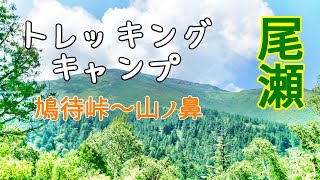 【キャンプ・トレッキング】尾瀬でテント泊してきた①尾瀬キャンプ