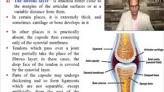 General Arthrology part 3