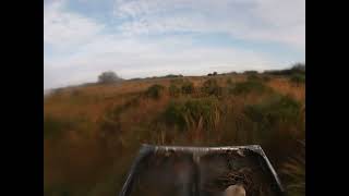 Airboat hunting