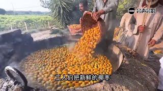 椰枣干是如何制作的